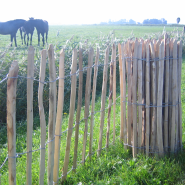 Kastanje Hek 5x90x460cm