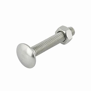 Slotbout met moer M10x100 mm, verzinkt (1 st)