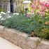 Rockline Walling Small  40x10x10 cm Mosselkalk