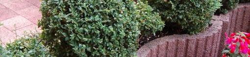 Beplantingselementen